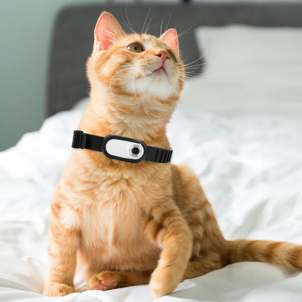 Pet Camera Collar — See What They See