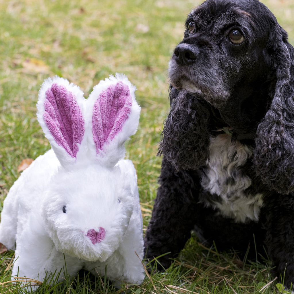 Squooshie Bunny — The Soft Plush Cuddle Buddy