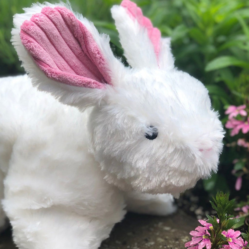 Squooshie Bunny — The Soft Plush Cuddle Buddy