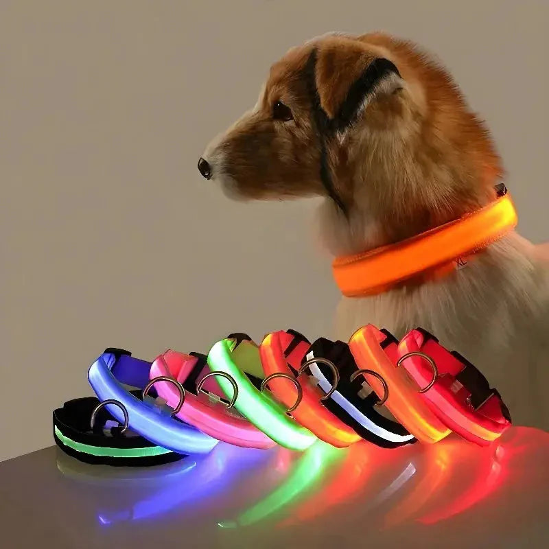LED Safety Collar — Night-Walk Visibility for Every Pace