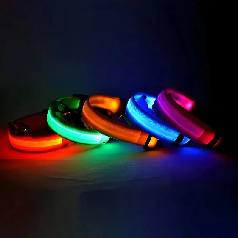 LED Safety Collar — Night-Walk Visibility for Every Pace
