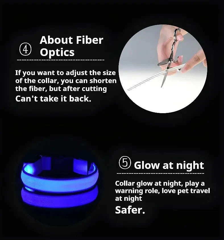 LED Safety Collar — Night-Walk Visibility for Every Pace