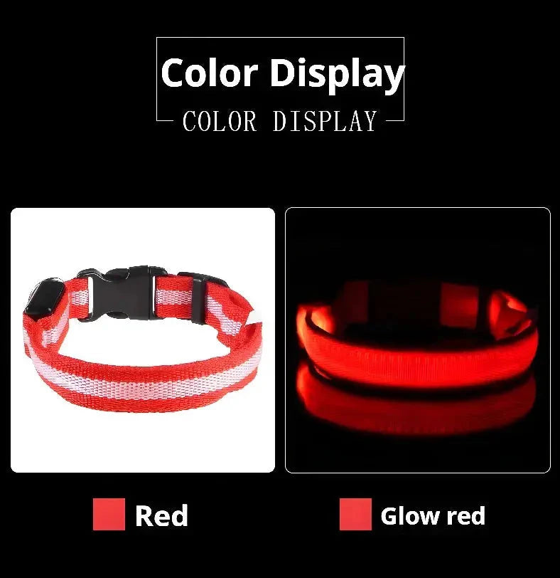 LED Safety Collar — Night-Walk Visibility for Every Pace