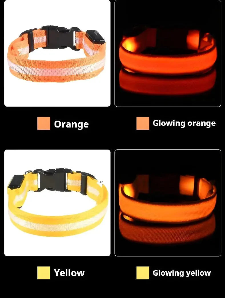LED Safety Collar — Night-Walk Visibility for Every Pace