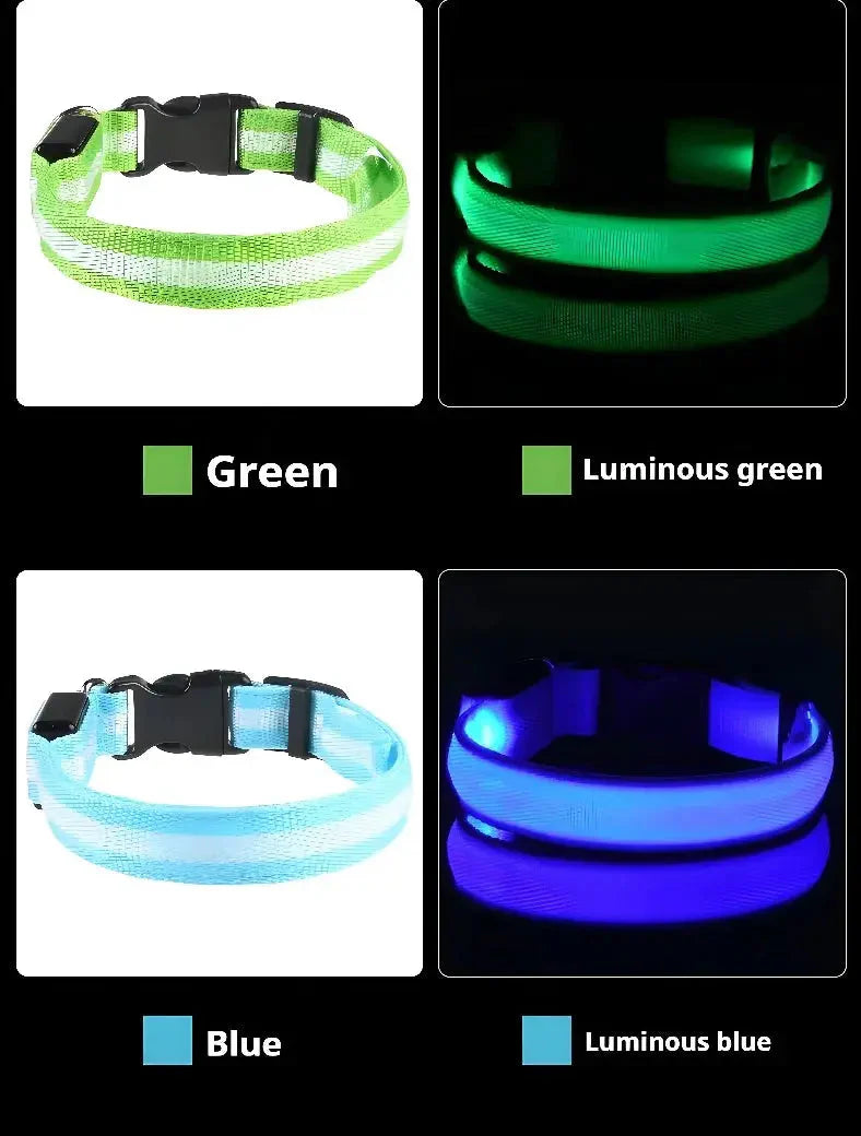 LED Safety Collar — Night-Walk Visibility for Every Pace