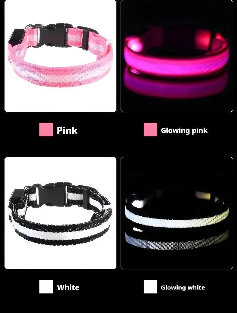 LED Safety Collar — Night-Walk Visibility for Every Pace