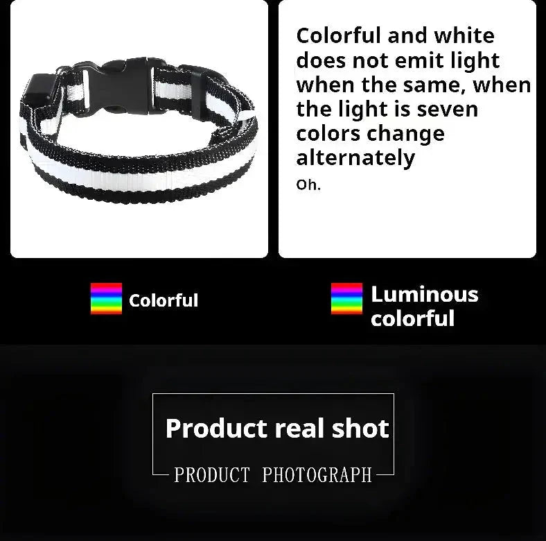 LED Safety Collar — Night-Walk Visibility for Every Pace
