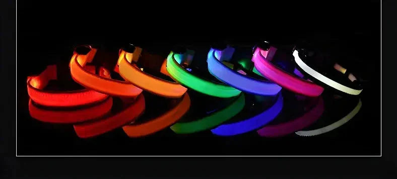 LED Safety Collar — Night-Walk Visibility for Every Pace