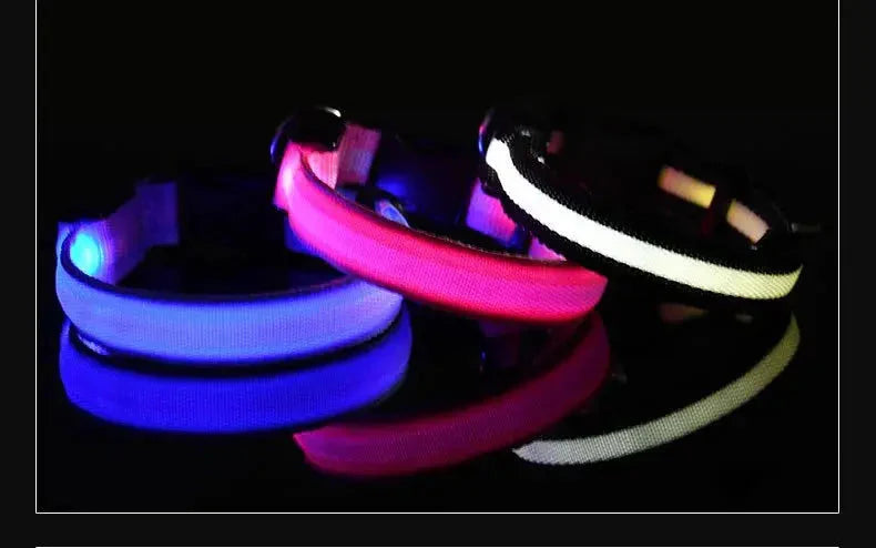 LED Safety Collar — Night-Walk Visibility for Every Pace