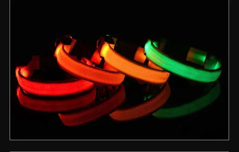 LED Safety Collar — Night-Walk Visibility for Every Pace