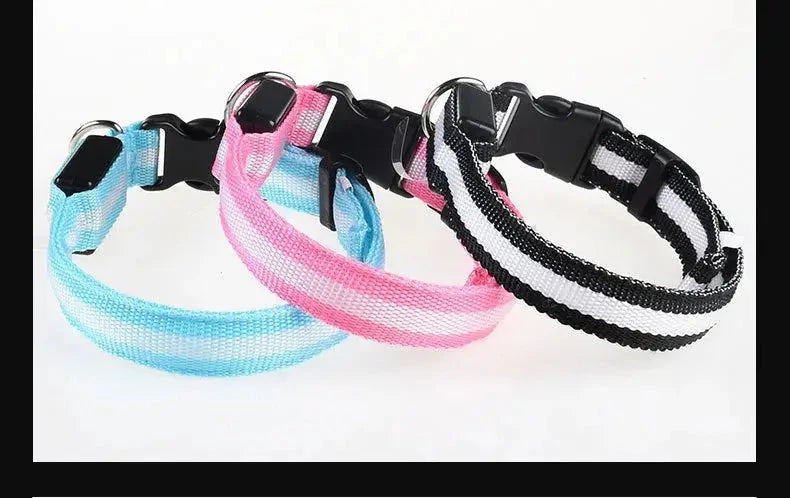 LED Safety Collar — Night-Walk Visibility for Every Pace