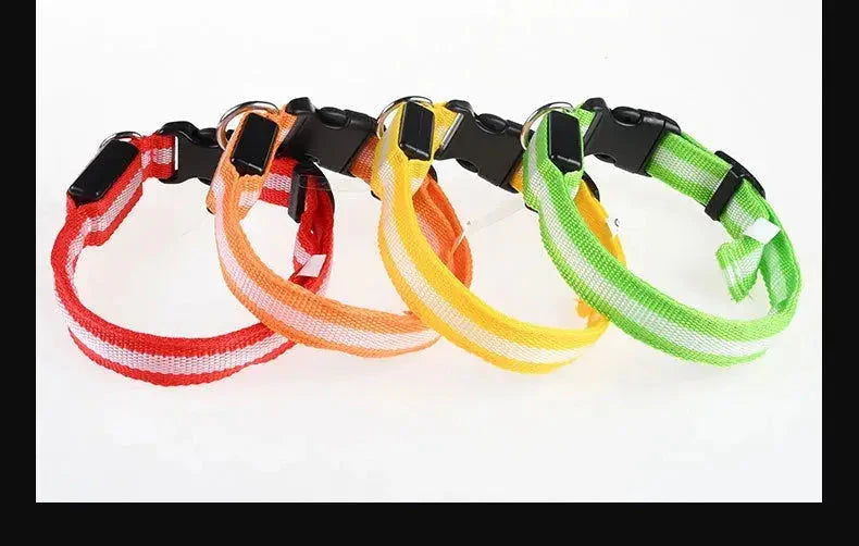 LED Safety Collar — Night-Walk Visibility for Every Pace