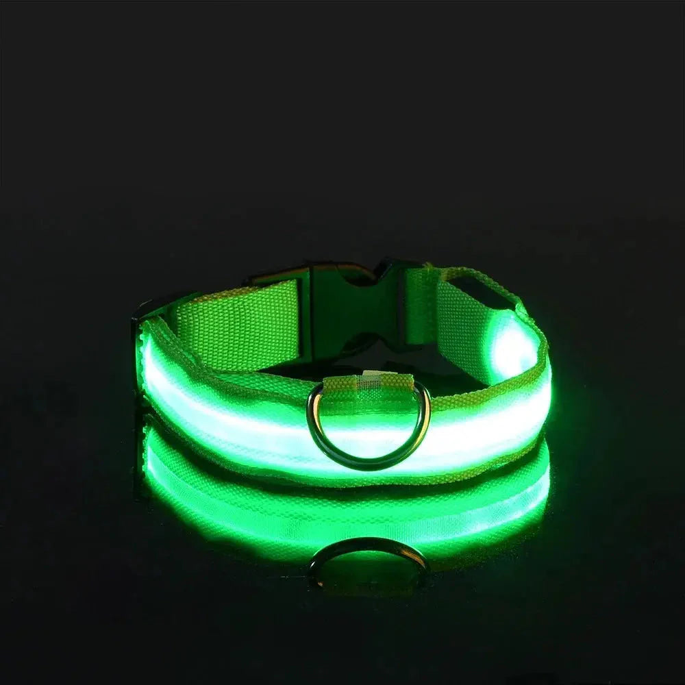 LED Safety Collar — Night-Walk Visibility for Every Pace