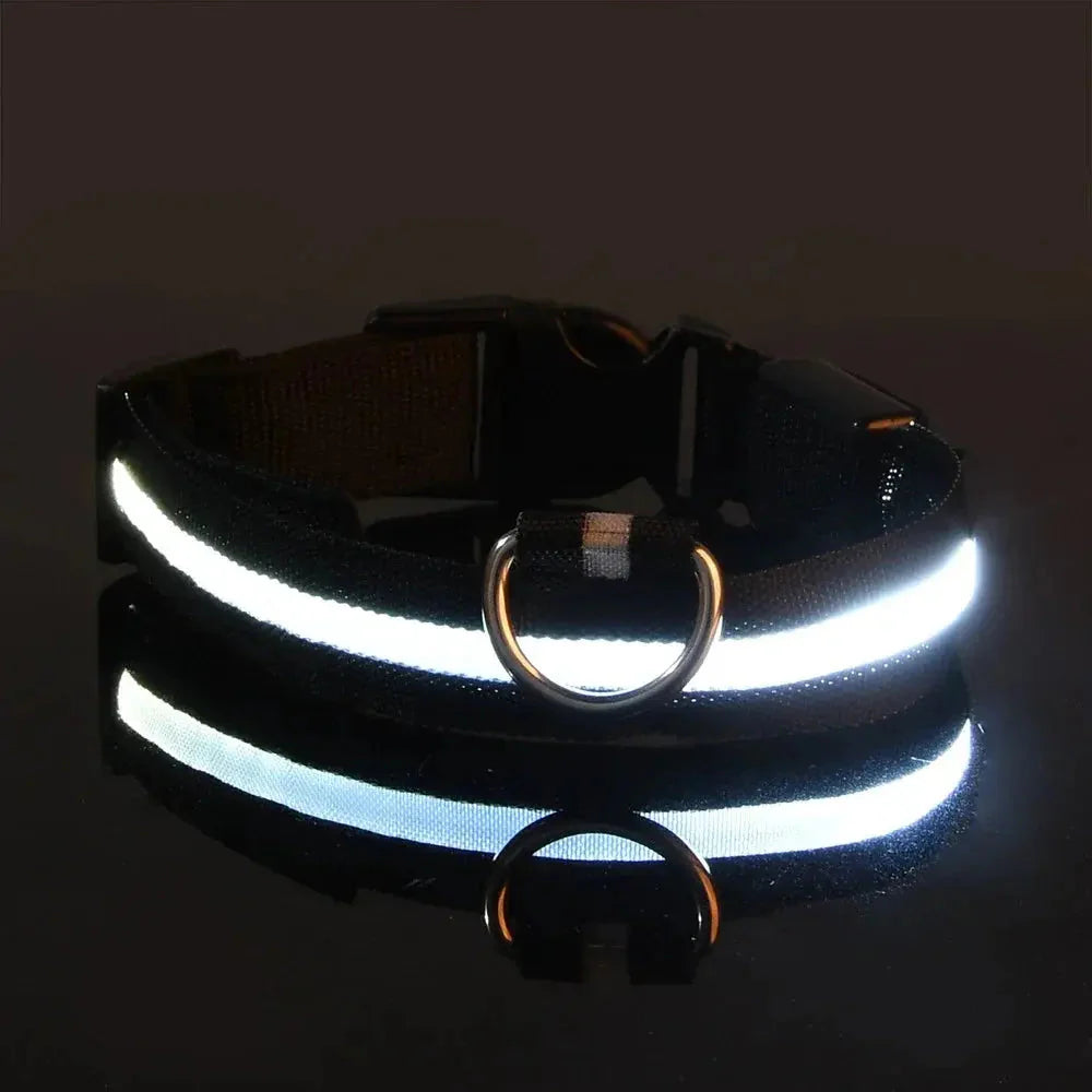 LED Safety Collar — Night-Walk Visibility for Every Pace
