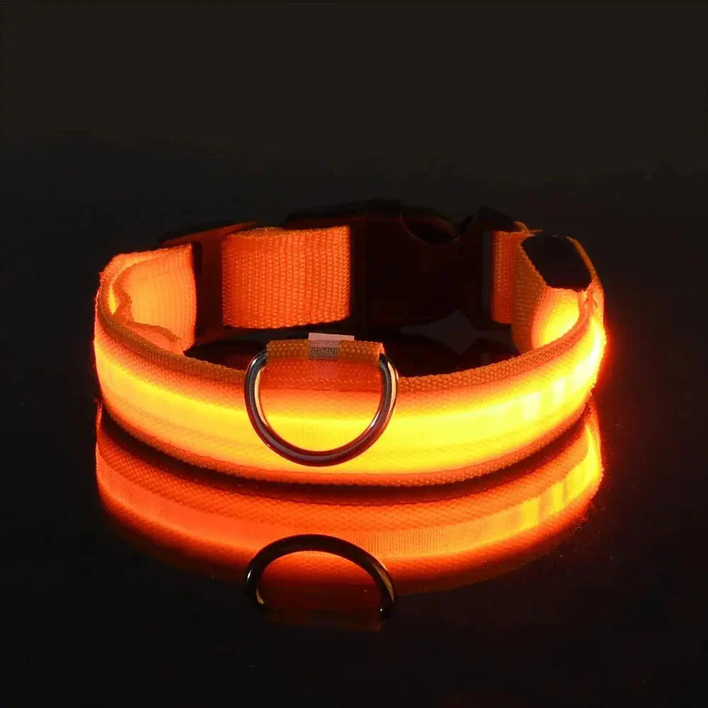 LED Safety Collar — Night-Walk Visibility for Every Pace
