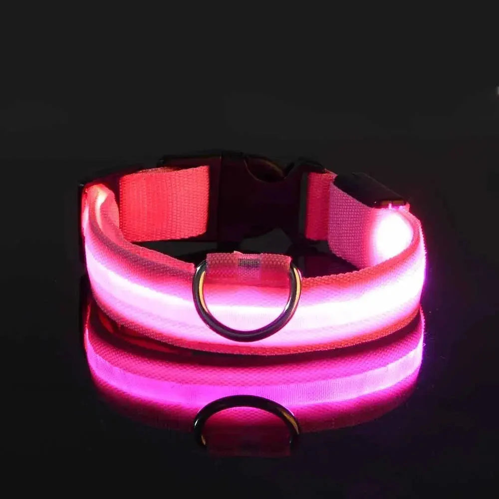 LED Safety Collar — Night-Walk Visibility for Every Pace
