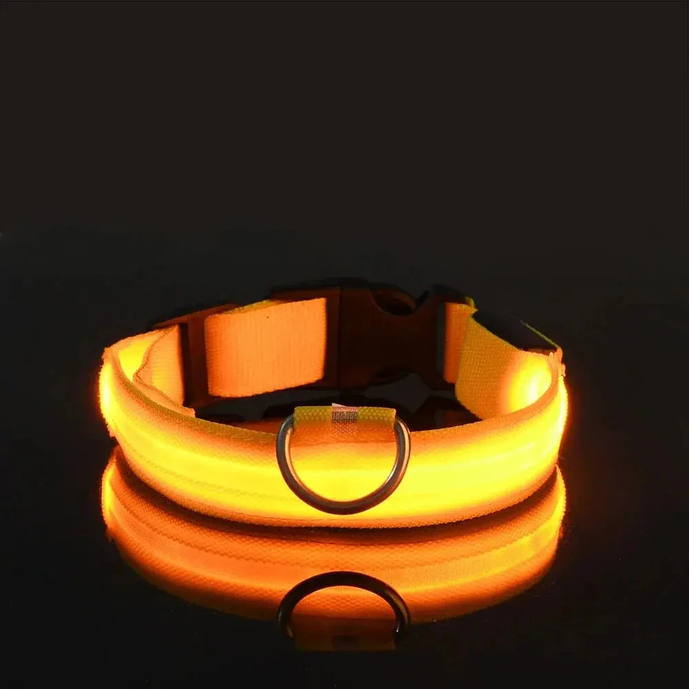 LED Safety Collar — Night-Walk Visibility for Every Pace