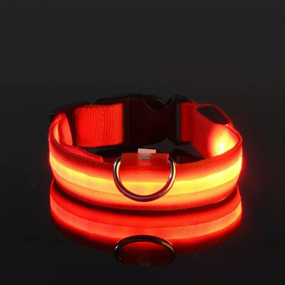 LED Safety Collar — Night-Walk Visibility for Every Pace