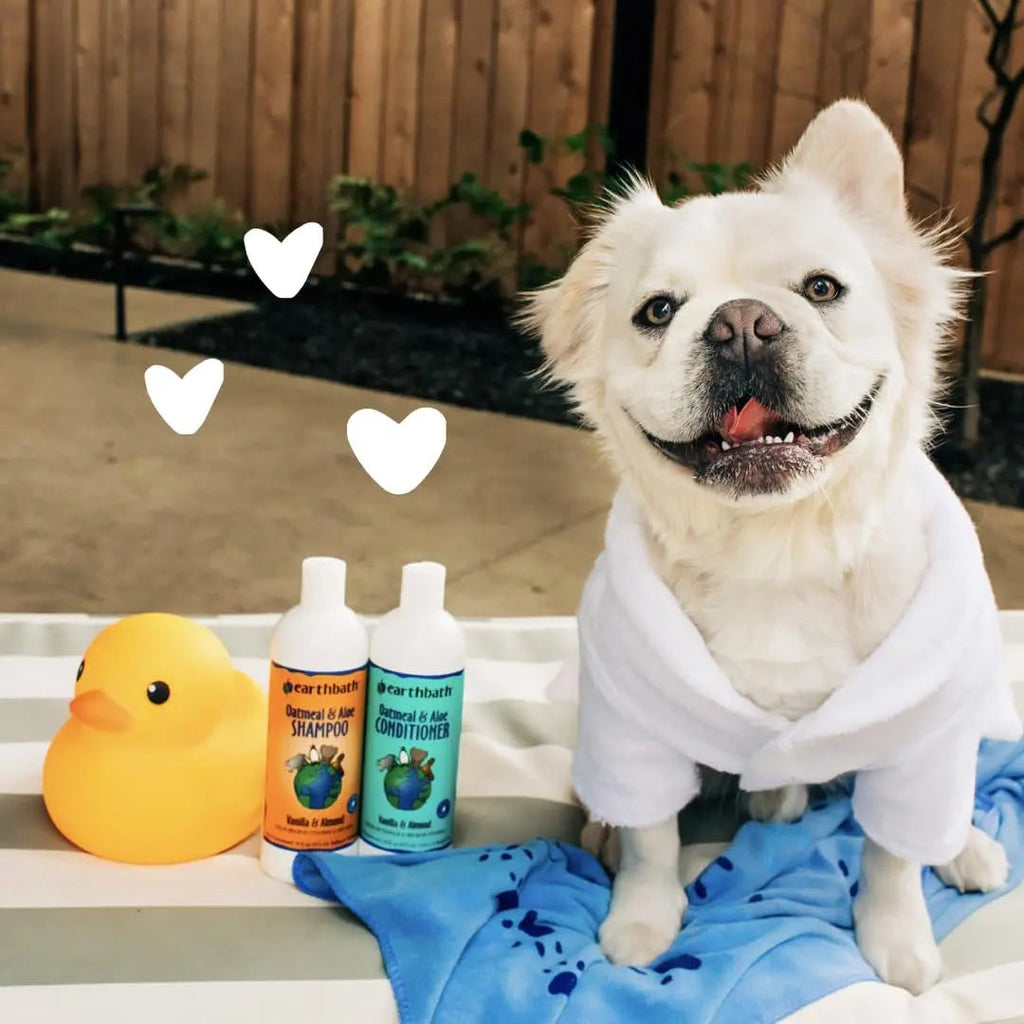 Earthbath Oatmeal + Aloe Shampoo Set — for Dry, Itchy Skin