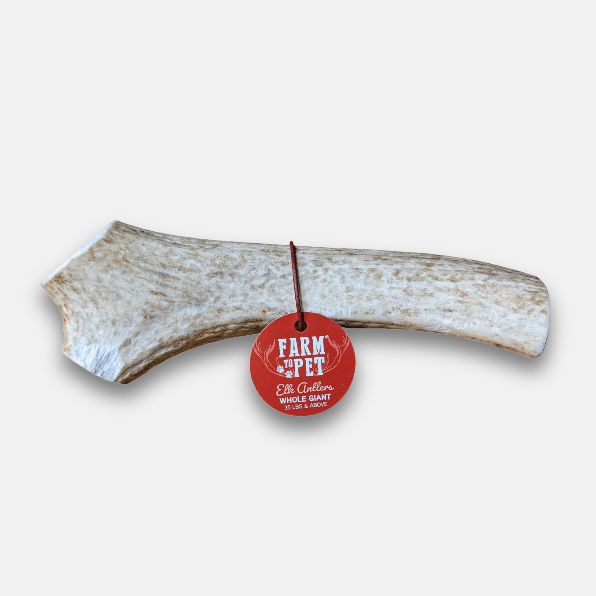 Elk Antler Chews — Long-Lasting, All-Natural Dog Chews