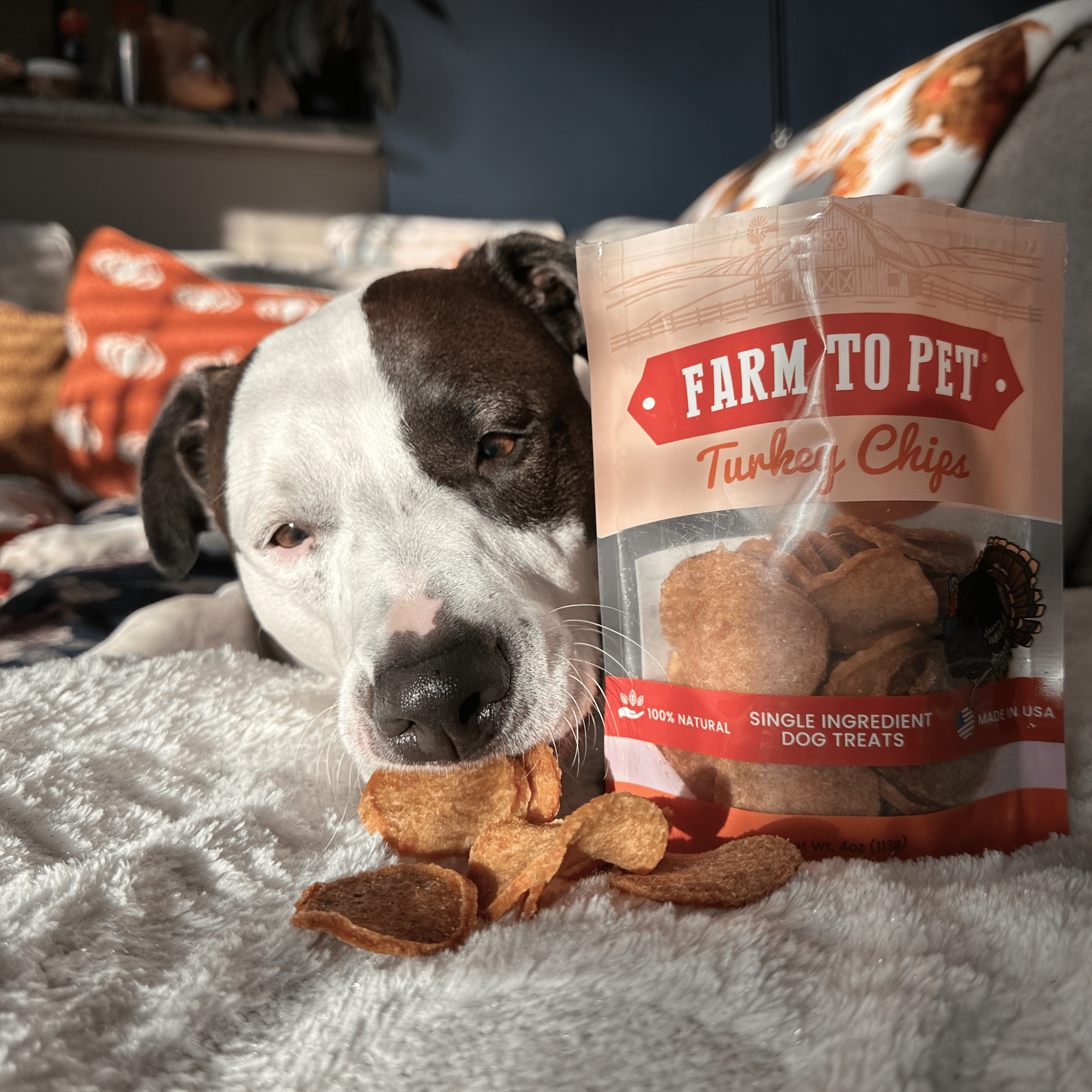 Turkey Chips — One-Ingredient Dog Treats (Made in USA)