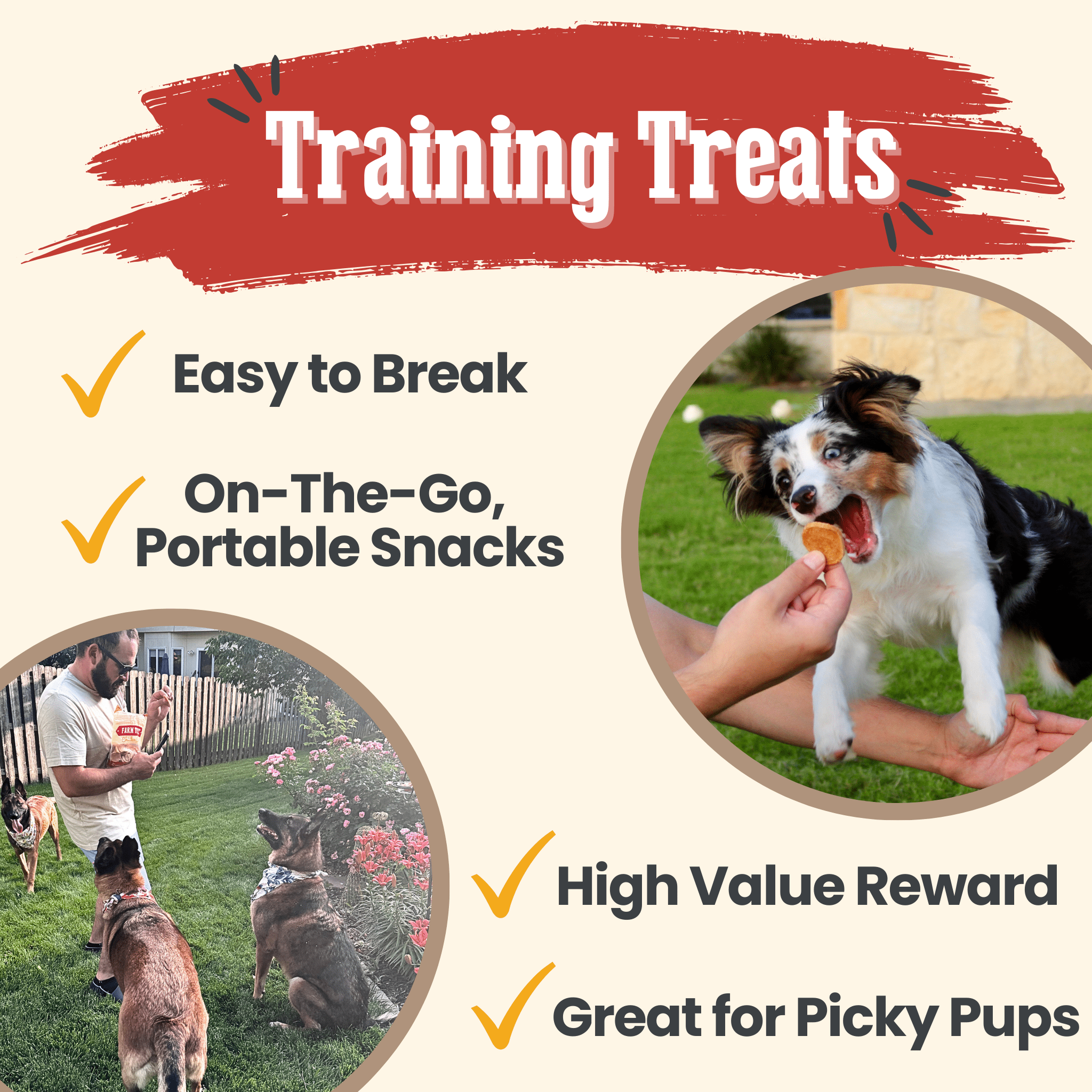 Chicken Chips — One-Ingredient Dog Treats (Made in USA)