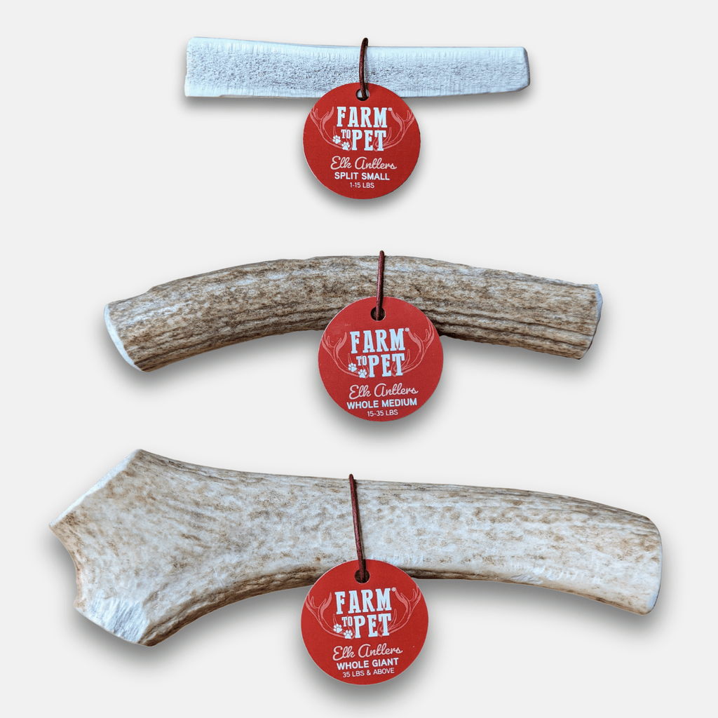 Elk Antler Chews — Long-Lasting, All-Natural Dog Chews
