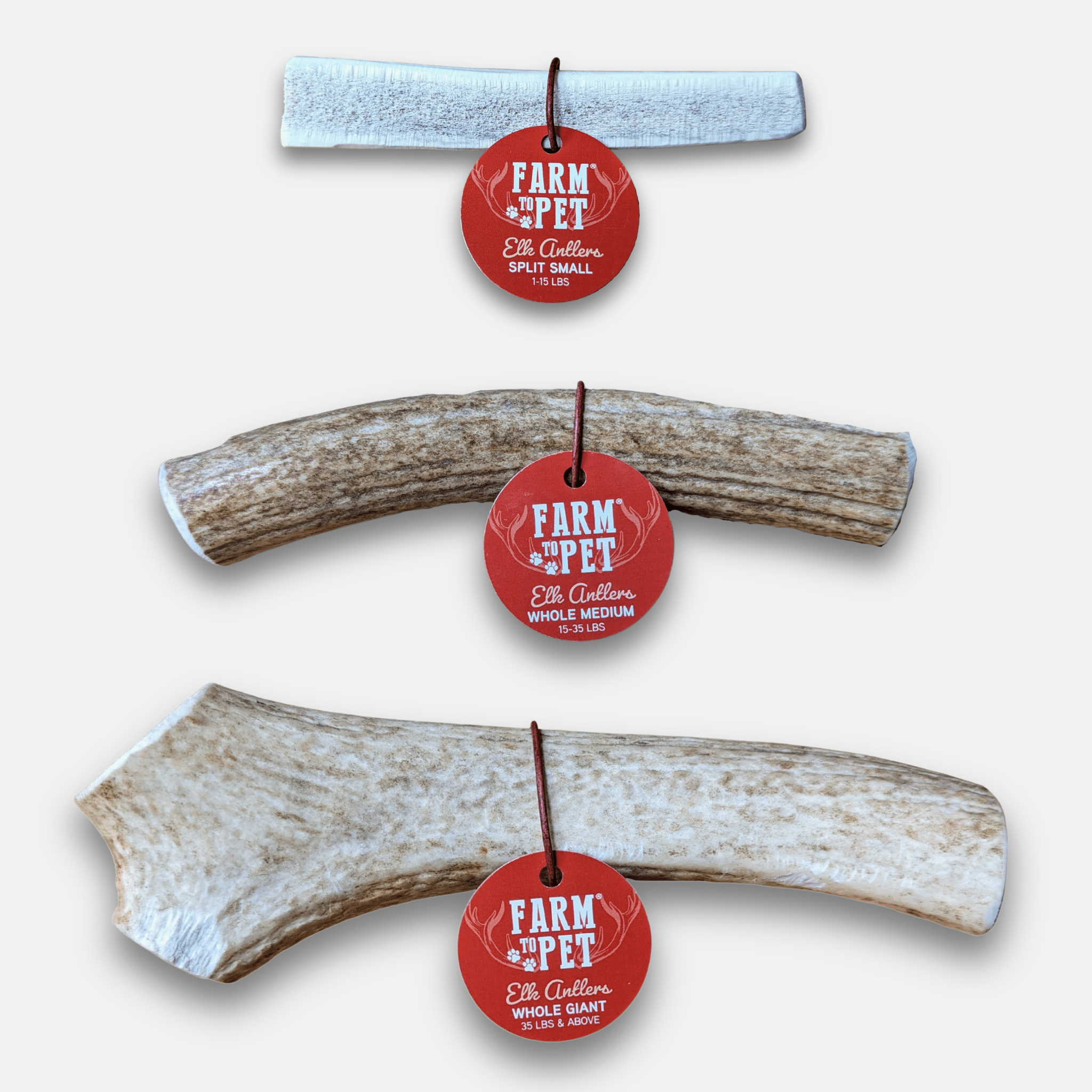 Elk Antler Chews — Long-Lasting, All-Natural Dog Chews
