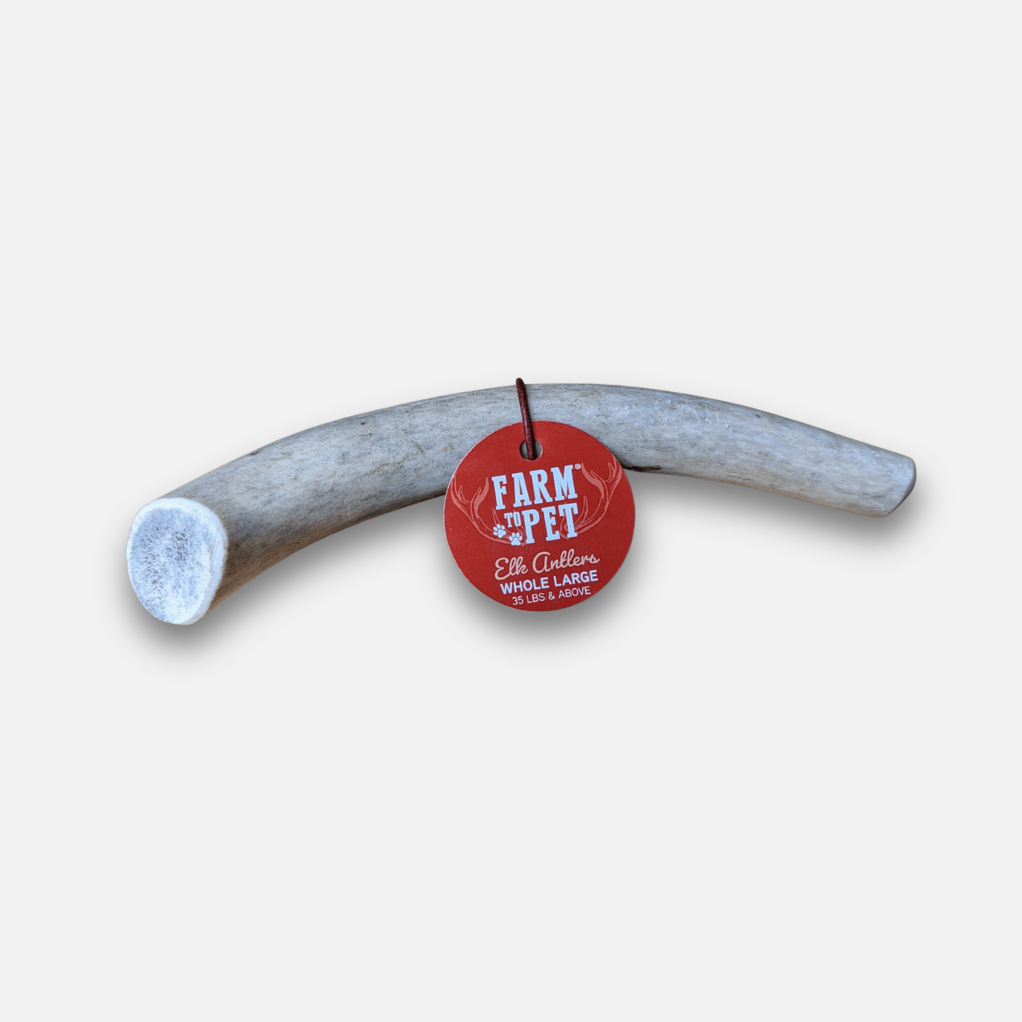 Elk Antler Chews — Long-Lasting, All-Natural Dog Chews