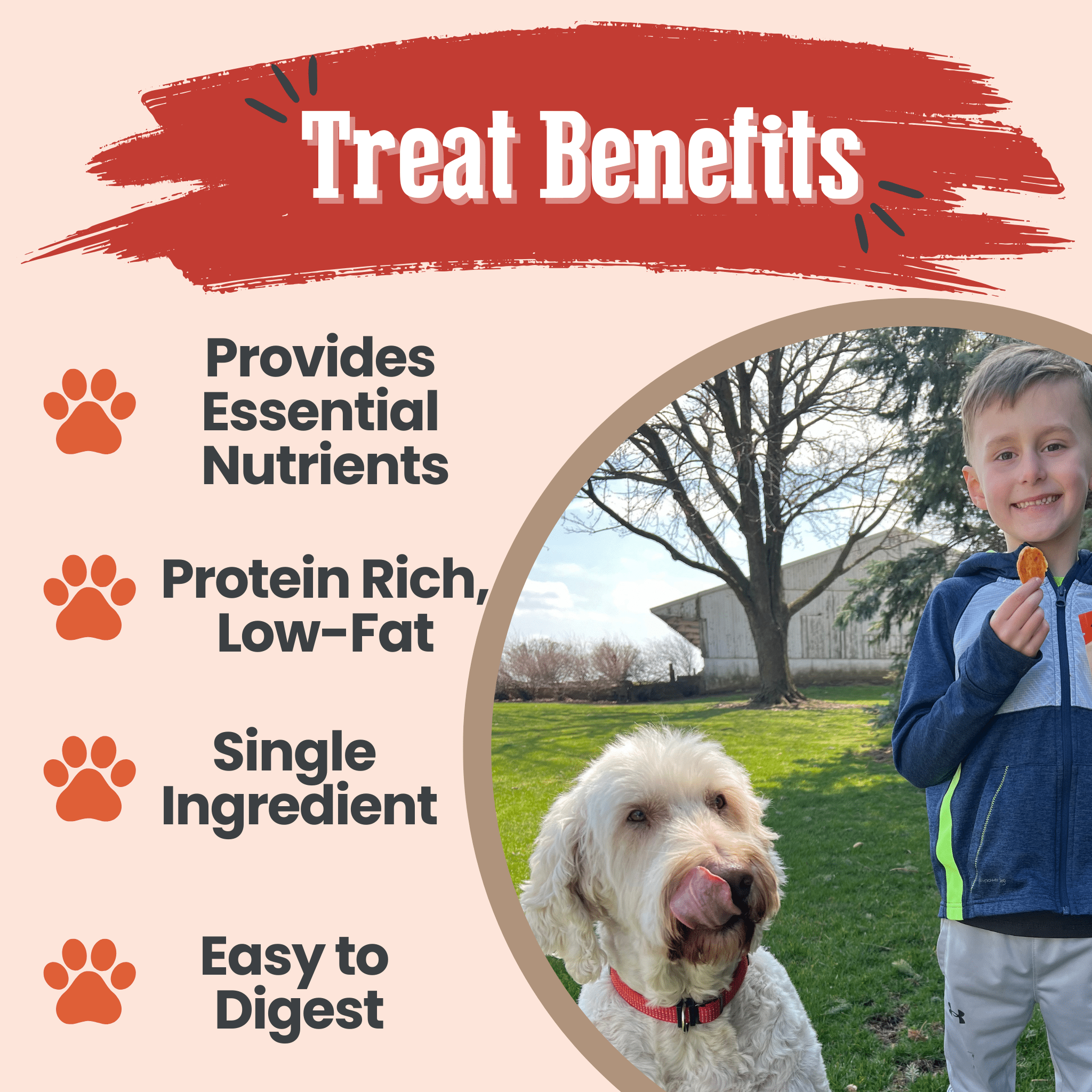 Turkey Chips — One-Ingredient Dog Treats (Made in USA)