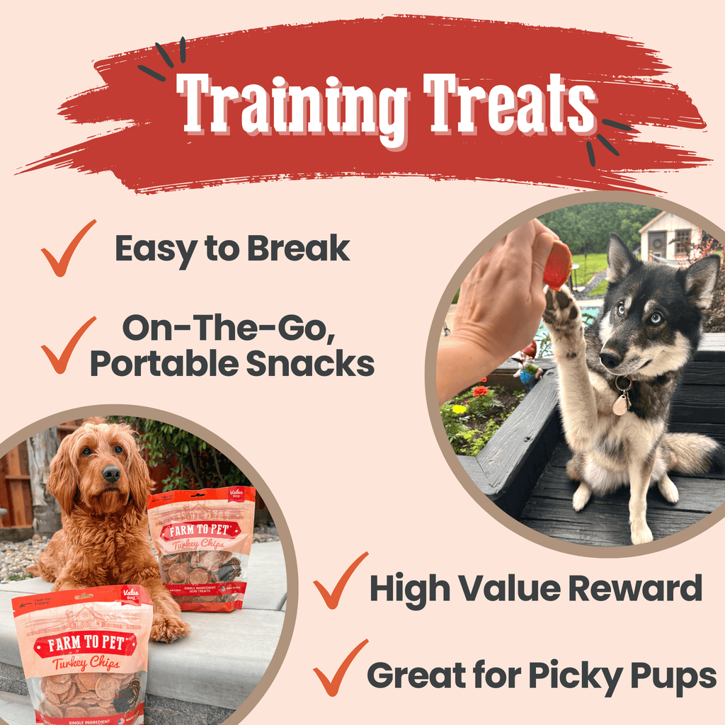 Turkey Chips — One-Ingredient Dog Treats (Made in USA)