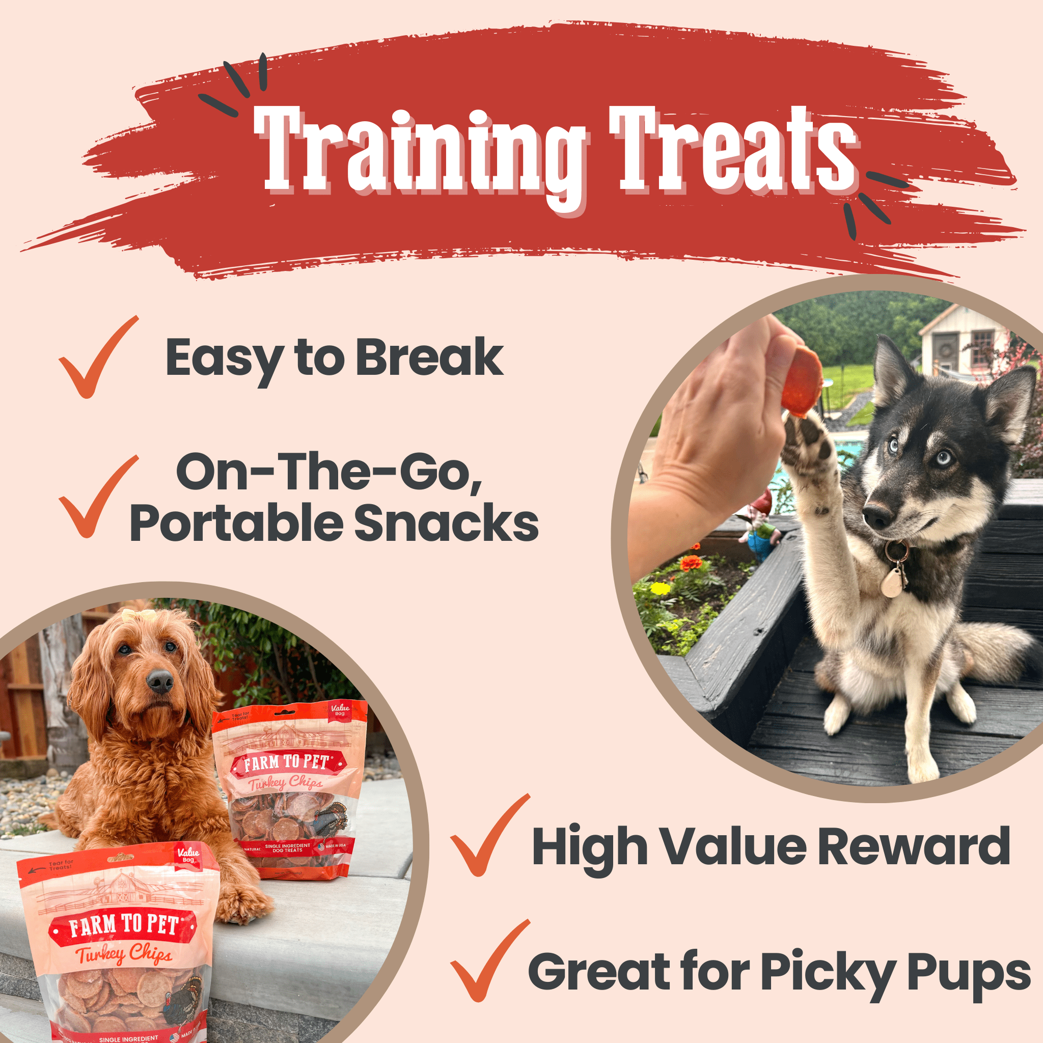 Turkey Chips — One-Ingredient Dog Treats (Made in USA)