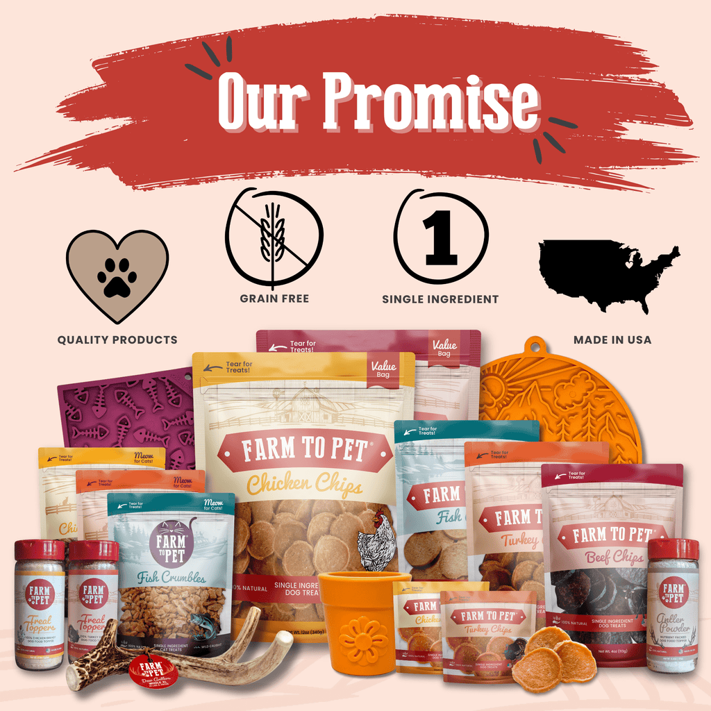 Turkey Chips — One-Ingredient Dog Treats (Made in USA)