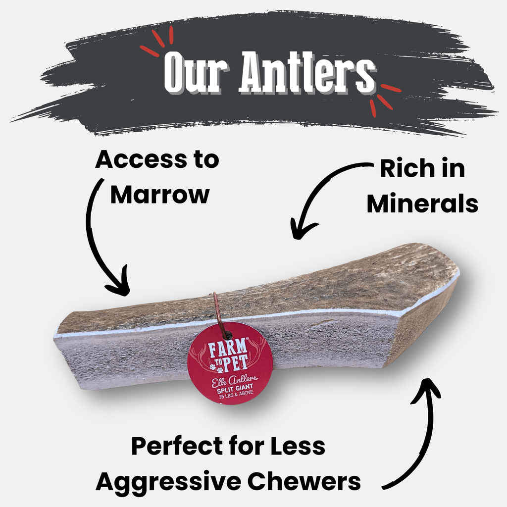 Elk Antler Chews — Long-Lasting, All-Natural Dog Chews