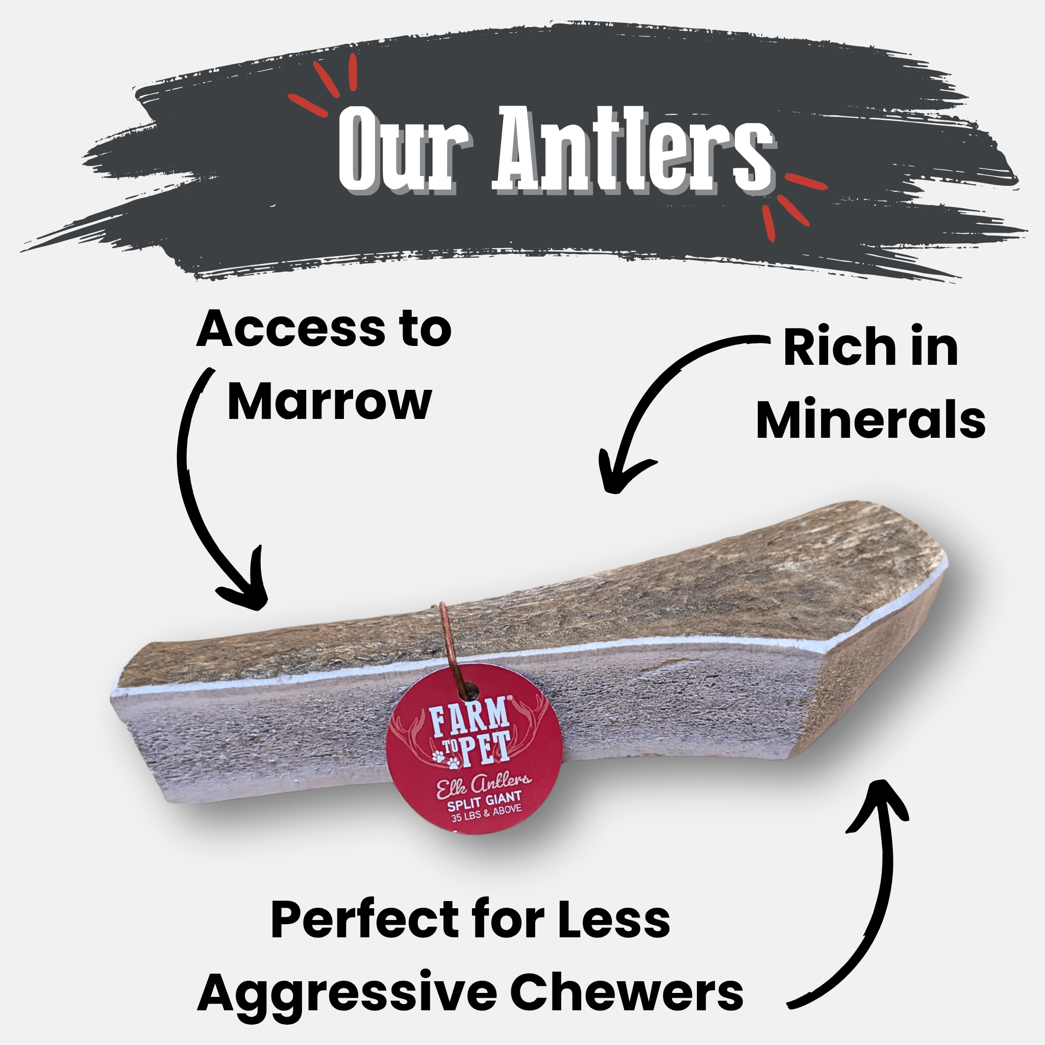 Elk Antler Chews — Long-Lasting, All-Natural Dog Chews