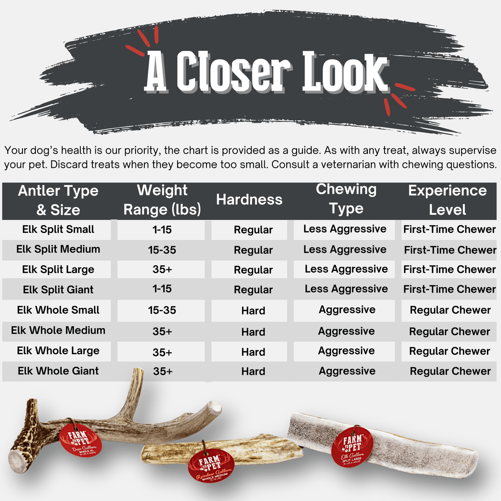 Elk Antler Chews — Long-Lasting, All-Natural Dog Chews
