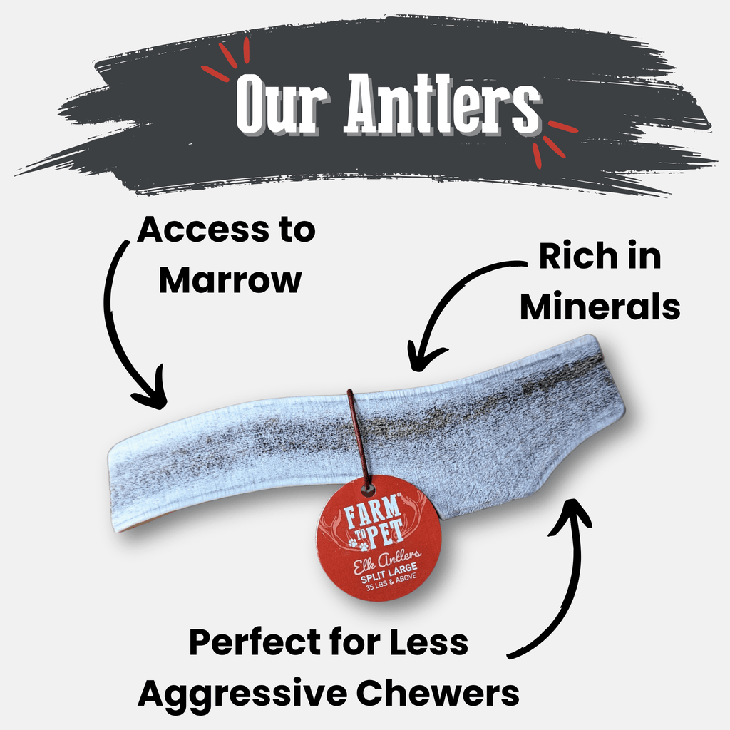Elk Antler Chews — Long-Lasting, All-Natural Dog Chews