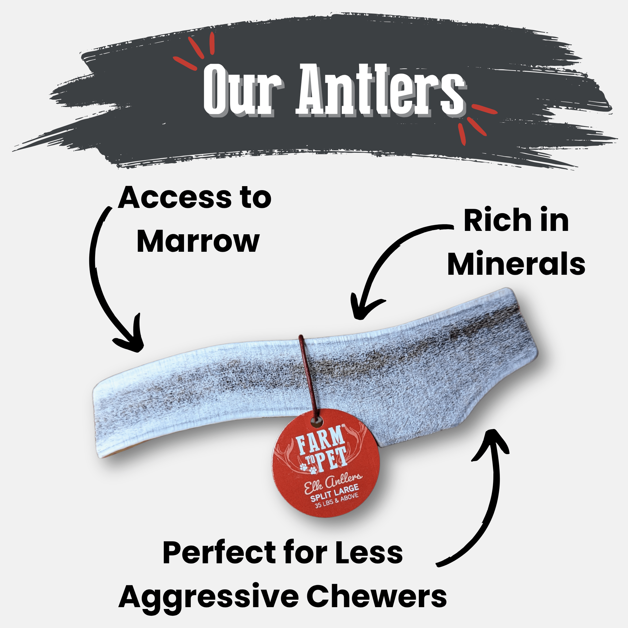 Elk Antler Chews — Long-Lasting, All-Natural Dog Chews