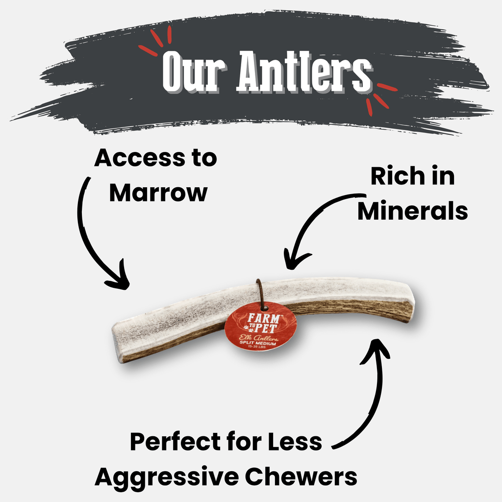 Elk Antler Chews — Long-Lasting, All-Natural Dog Chews