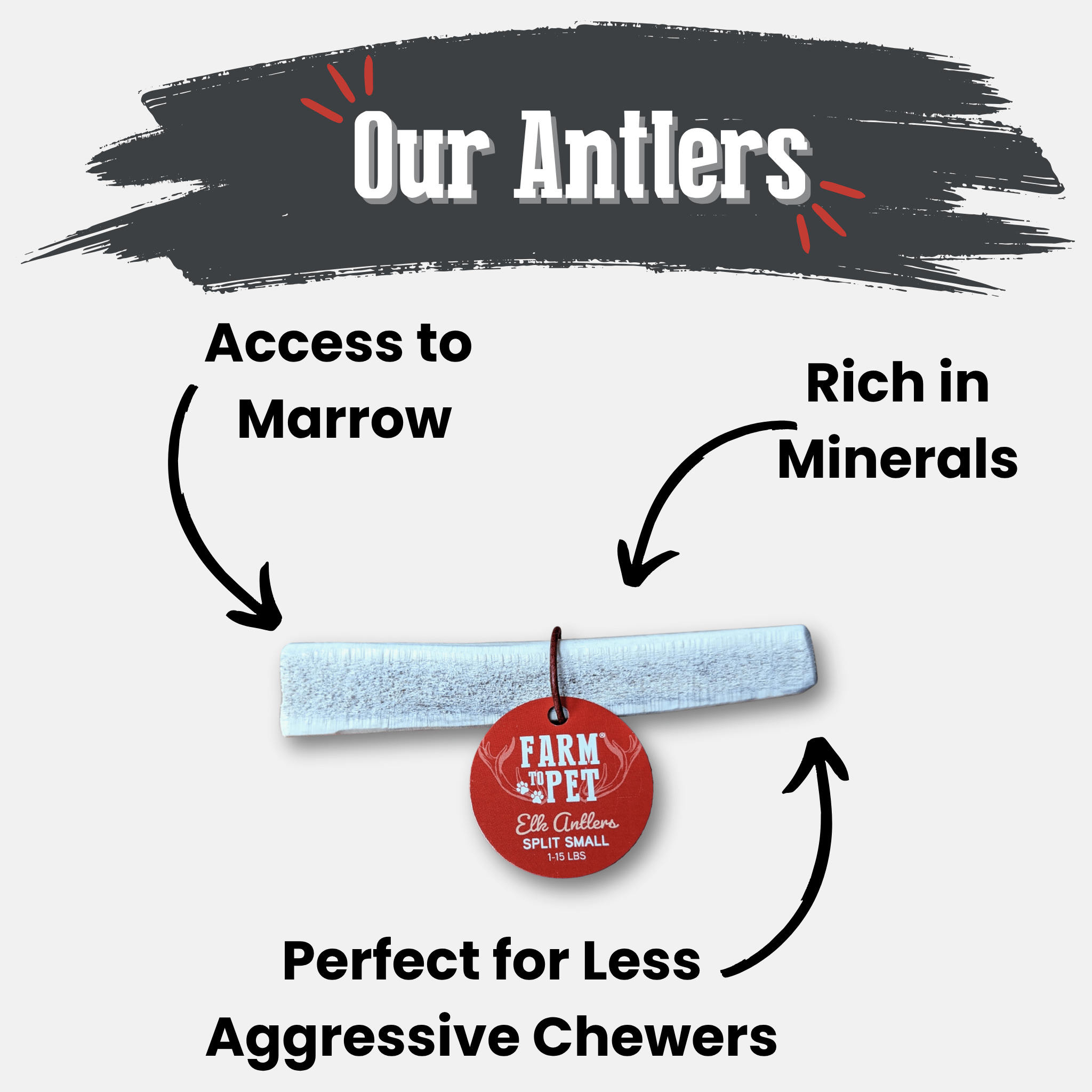 Elk Antler Chews — Long-Lasting, All-Natural Dog Chews