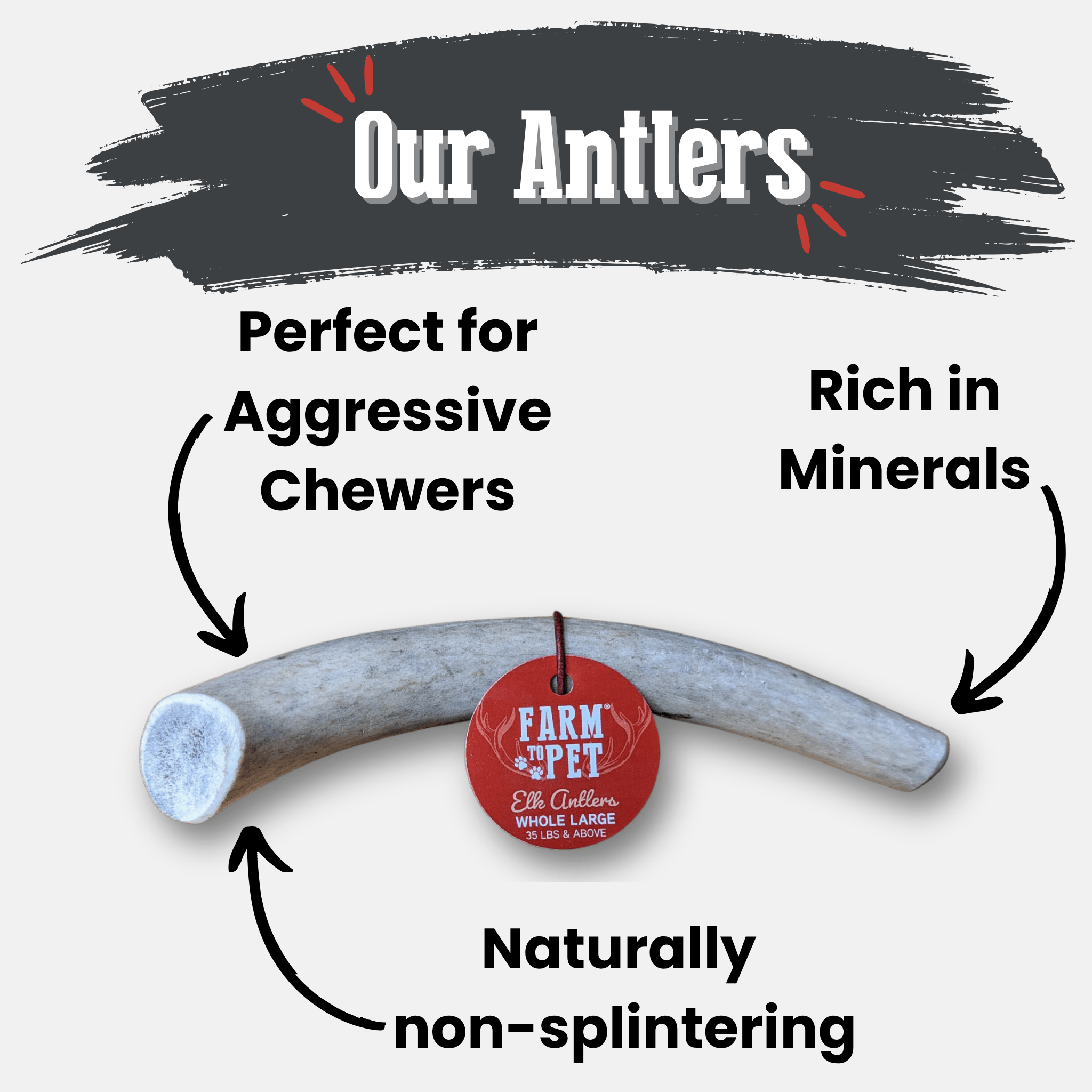 Elk Antler Chews — Long-Lasting, All-Natural Dog Chews