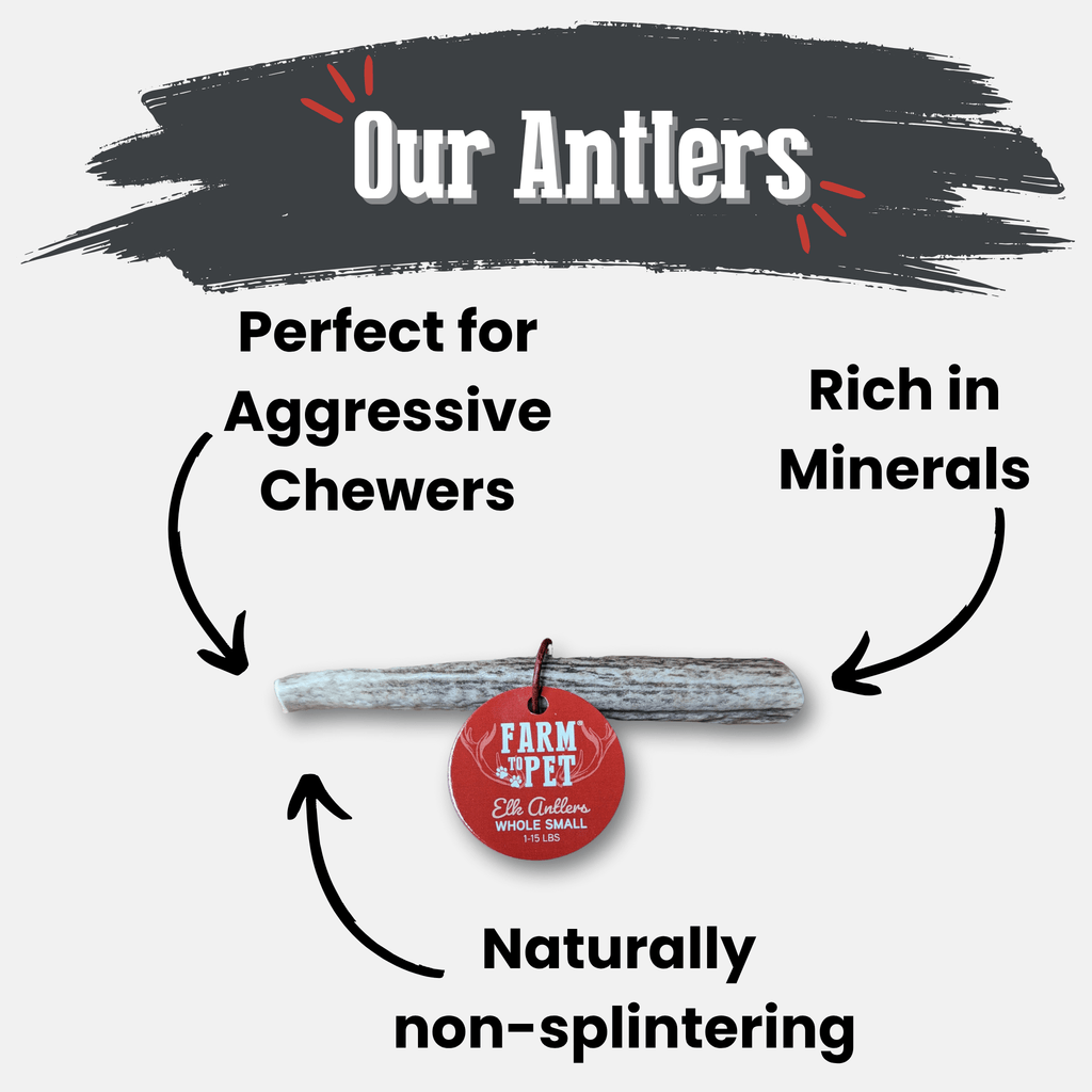 Elk Antler Chews — Long-Lasting, All-Natural Dog Chews