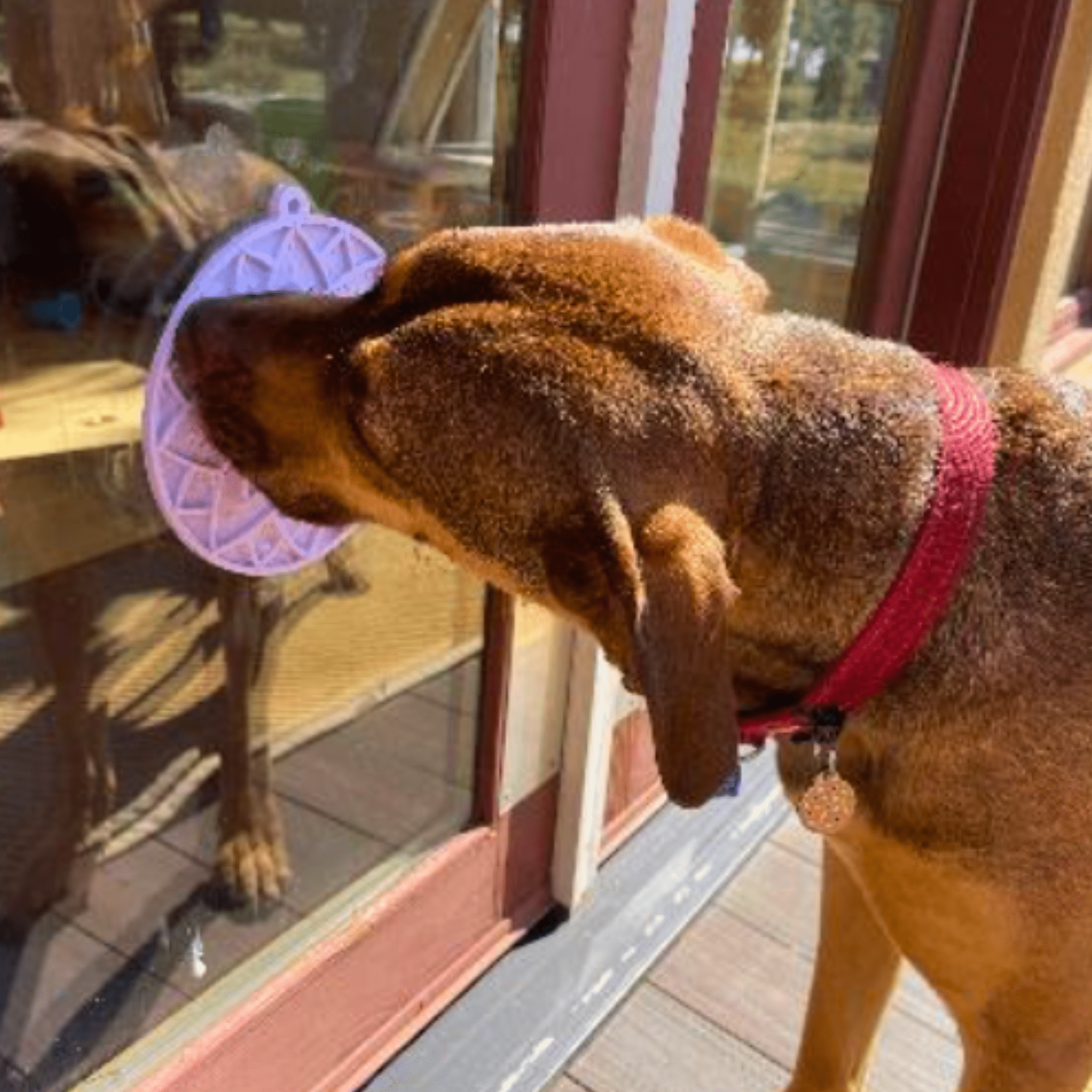 Lick Mat — Calm Spa Moments, Suction-Cup Steady