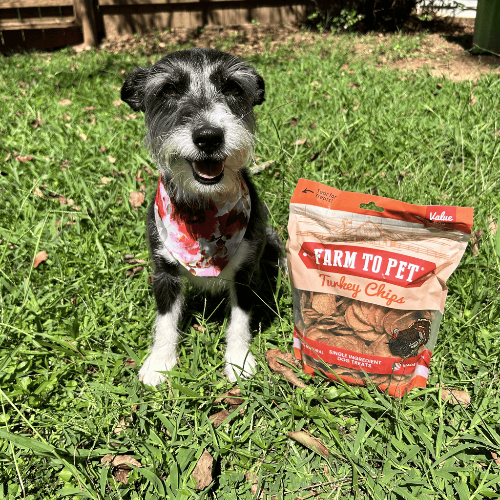 Turkey Chips — One-Ingredient Dog Treats (Made in USA)