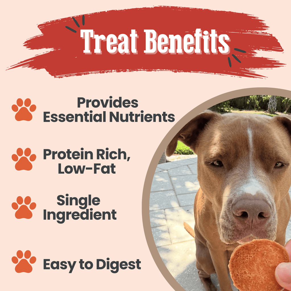 Turkey Chips — One-Ingredient Dog Treats (Made in USA)