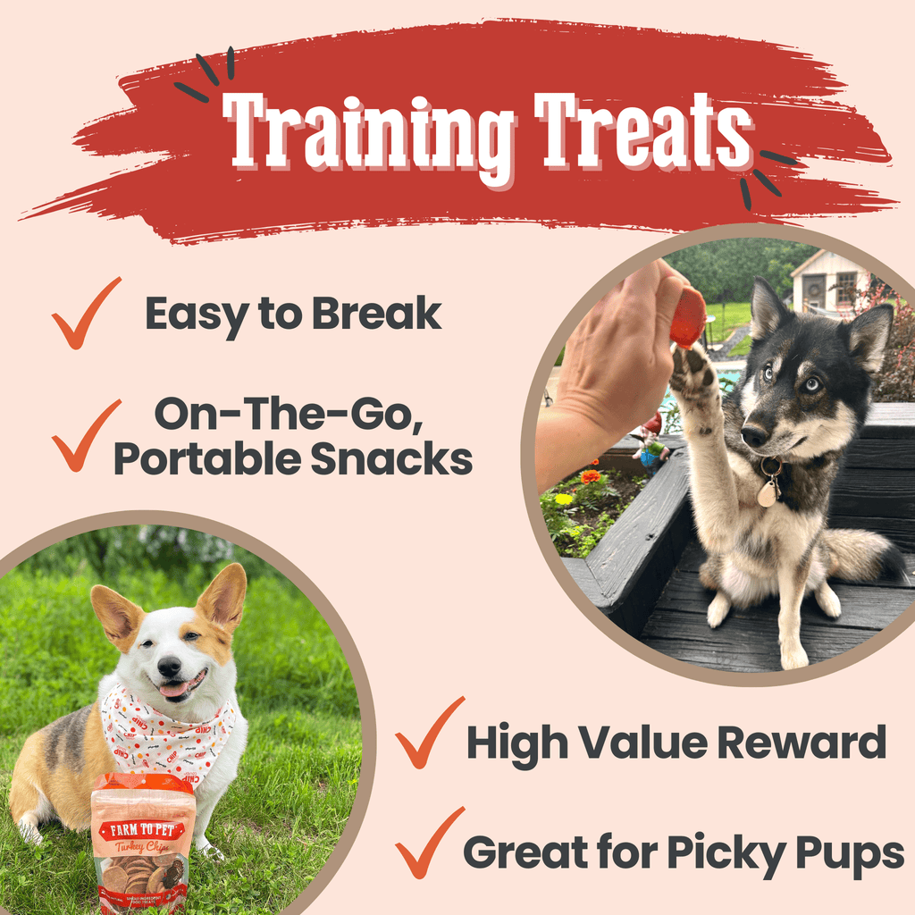 Turkey Chips — One-Ingredient Dog Treats (Made in USA)