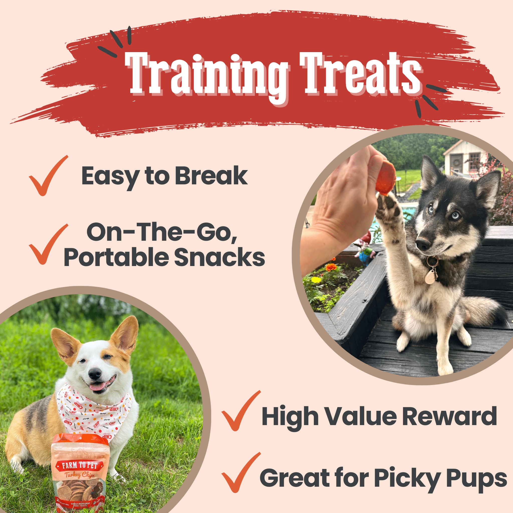 Turkey Chips — One-Ingredient Dog Treats (Made in USA)