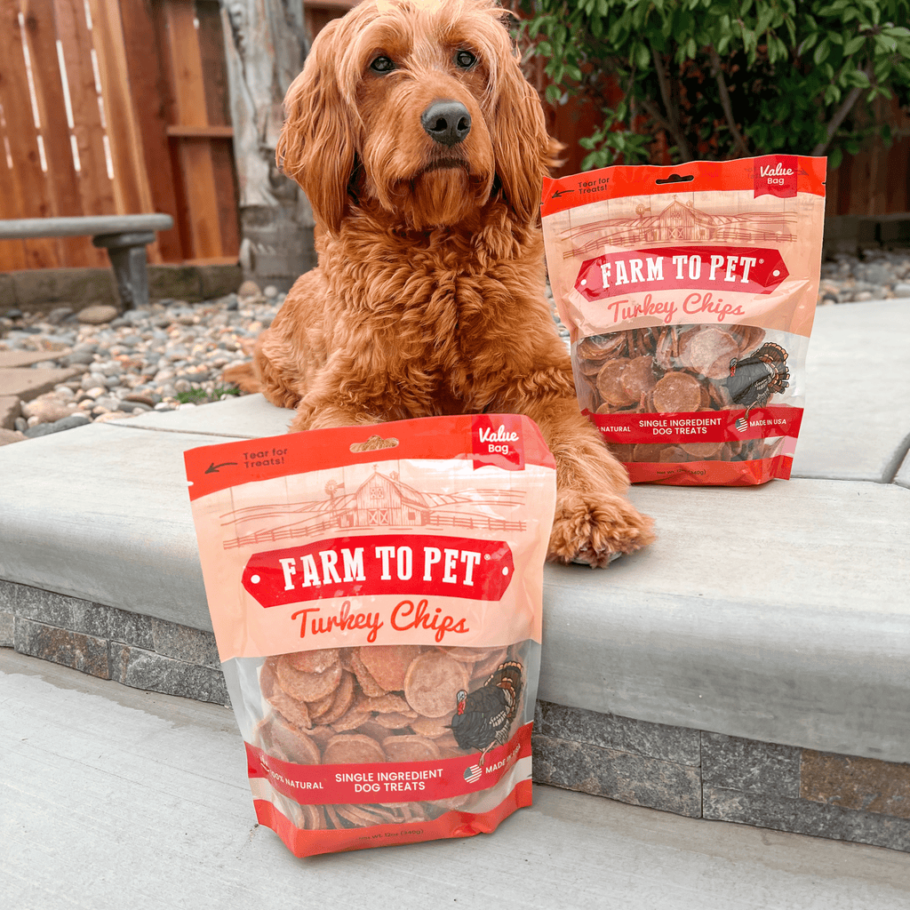 Turkey Chips — One-Ingredient Dog Treats (Made in USA)