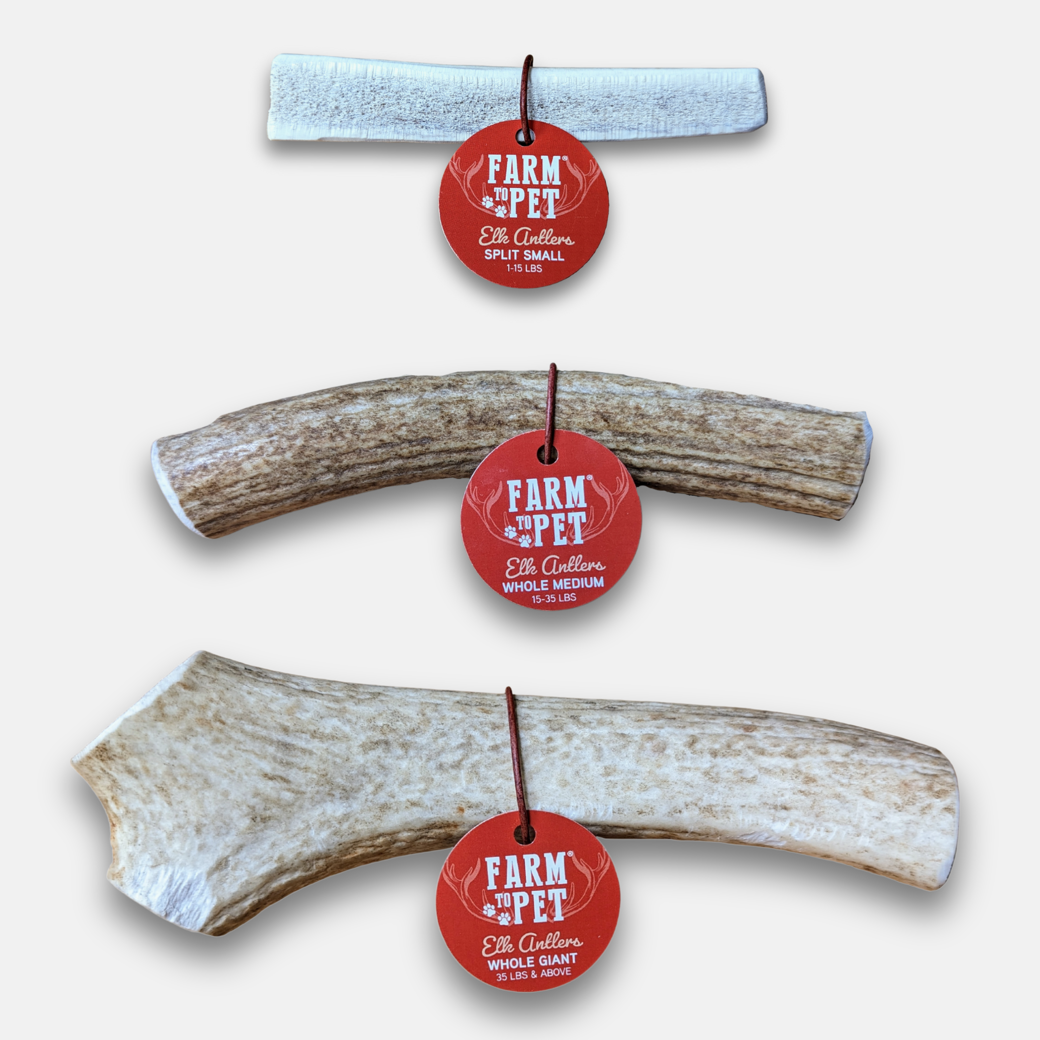 Elk Antler Chews — Long-Lasting, All-Natural Dog Chews