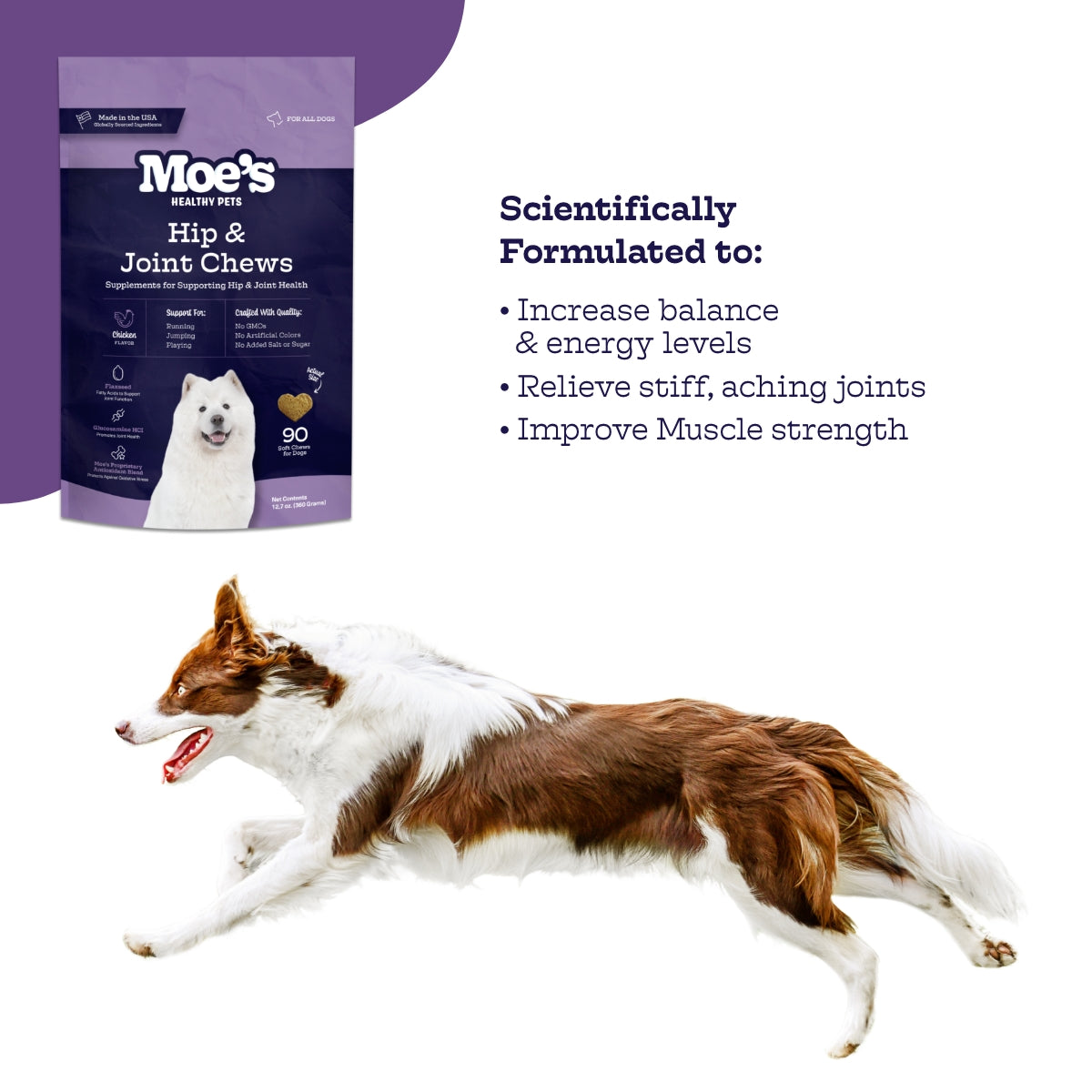 Hip & Joint Chews — Glucosamine + MSM Daily Support